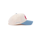 The Pixel - D Logo (red/cream/blue)