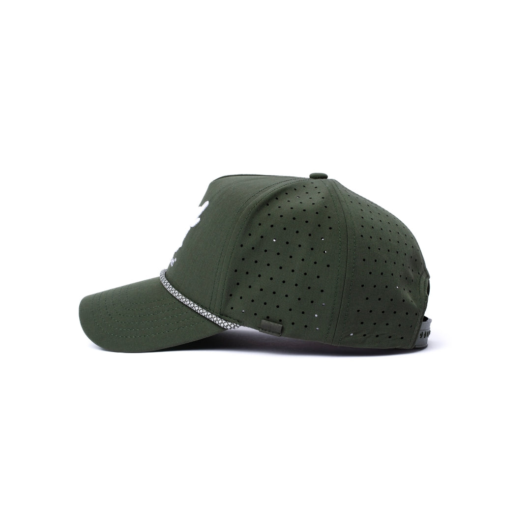 Fairway Olive