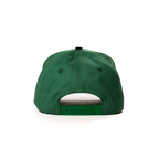 Dark Green & Black